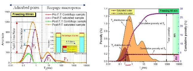 用低场核磁共振研究氮冻融对不同煤阶煤体物性案例分享