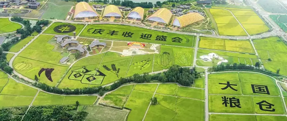 第五个中国农民丰收节|华体会在线携农产品品质成分低场核磁快速分析仪 亮相天府农博园